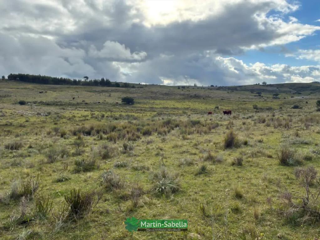 Campo en Venta - Lavalleja