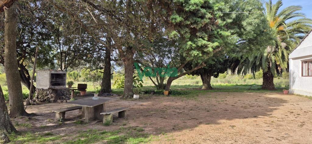 Venta de Chacra de 6 hectareas en Santa Lucia del