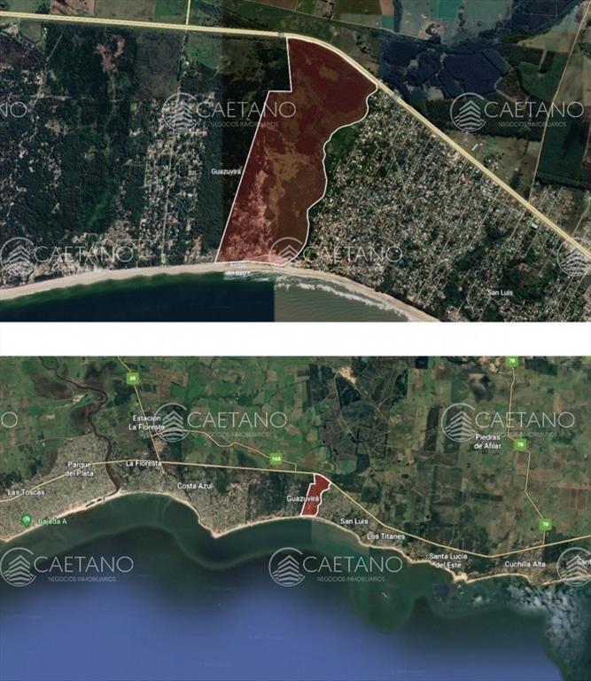 Venta campo 117 hectáreas sobre río de la plata