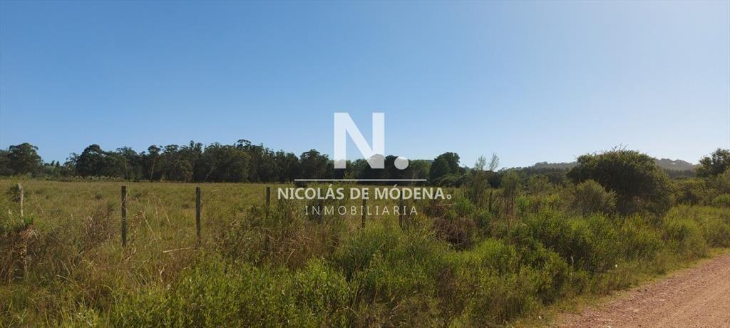 Venta fracción de campo en zona La Pataia