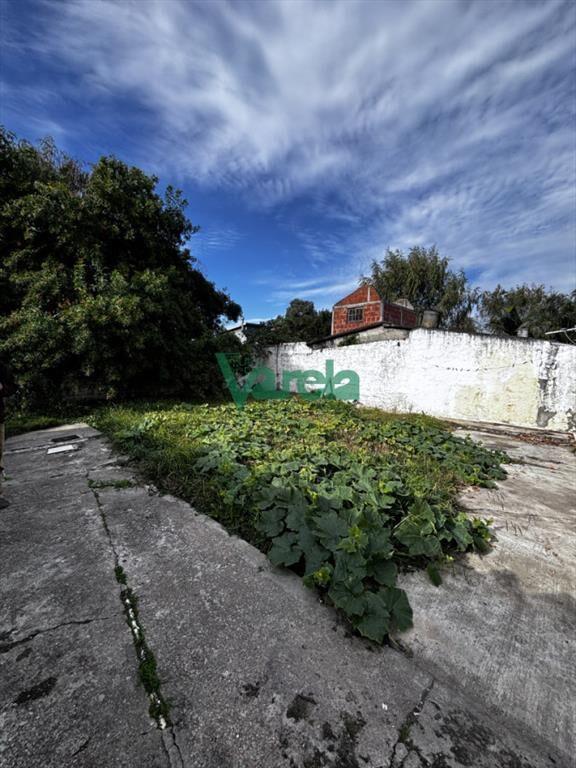 Casas en venta para inversión Pinar norte