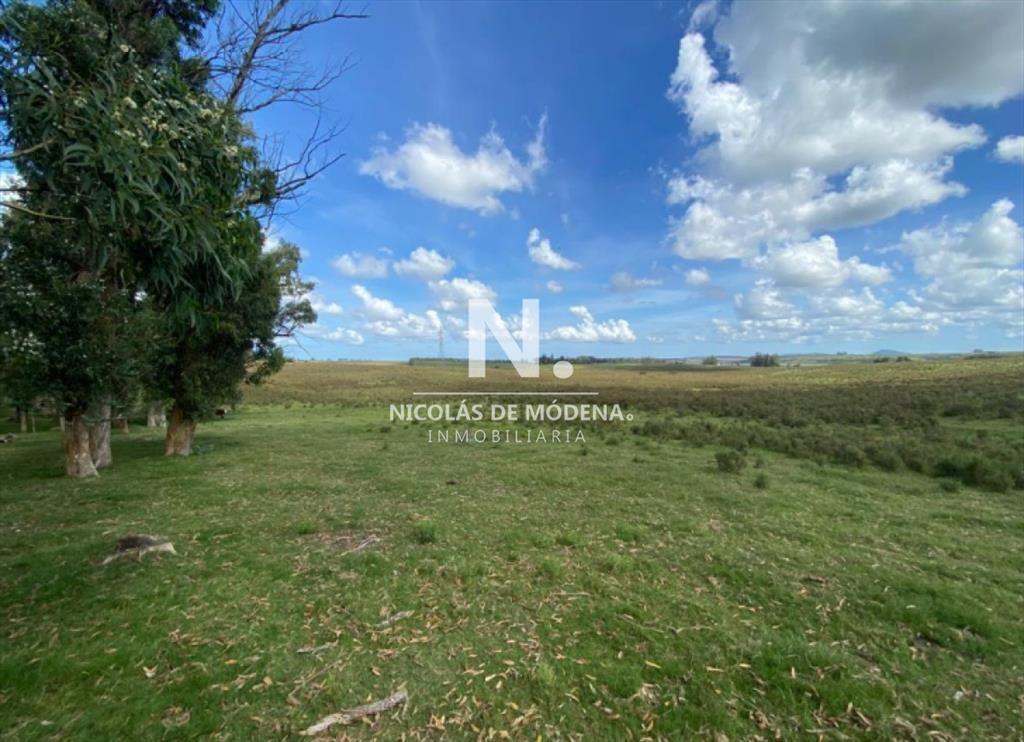 Venta de campo en Laguna del Sauce de 112 has.