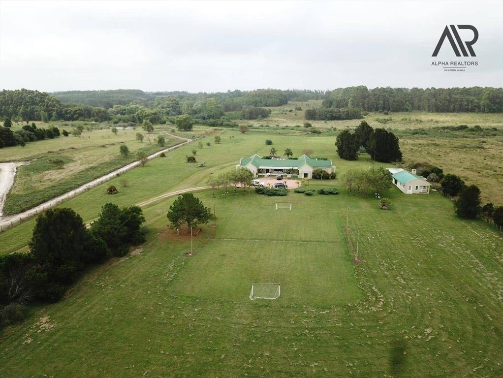 Chacra en venta de 5ha ubicado en Manantiales