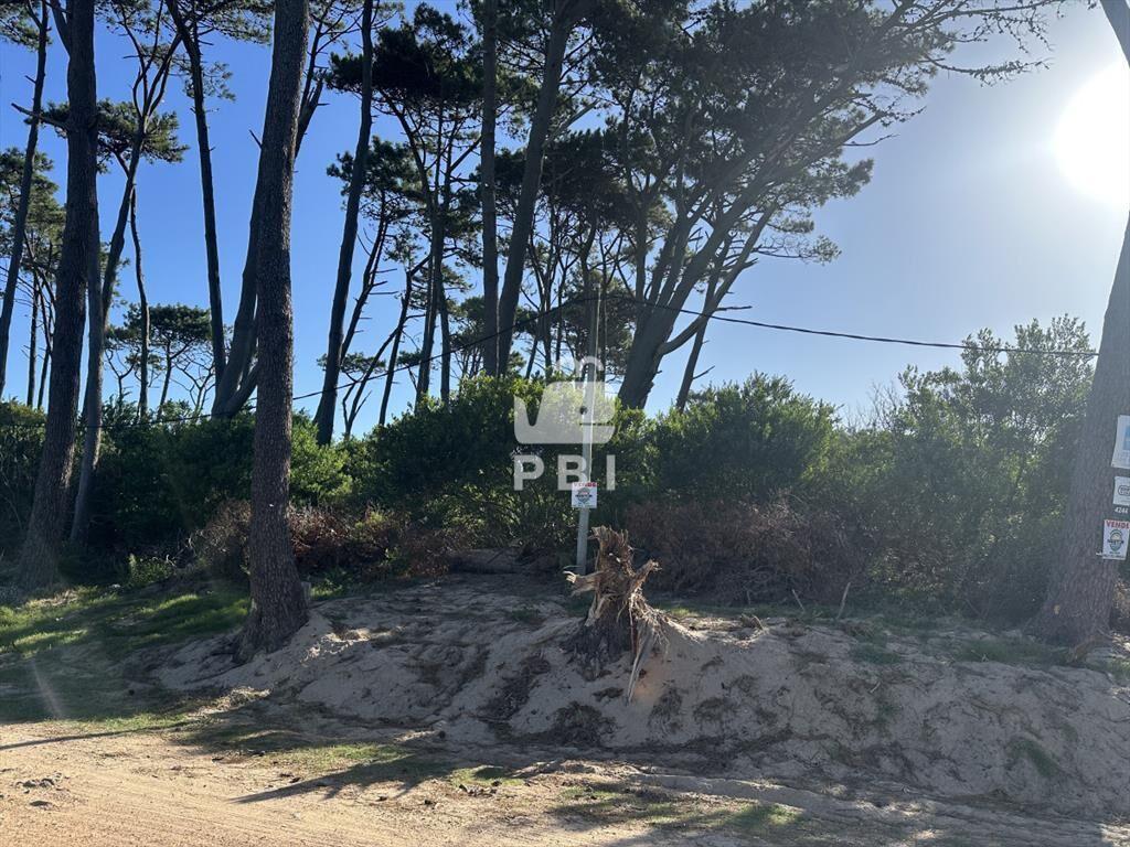 Venta de excelente terreno en Punta Ballena - Ref : PBI145