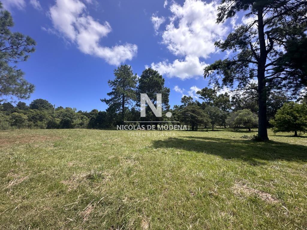 Vende Terreno ideal para desarrollo de barrio del