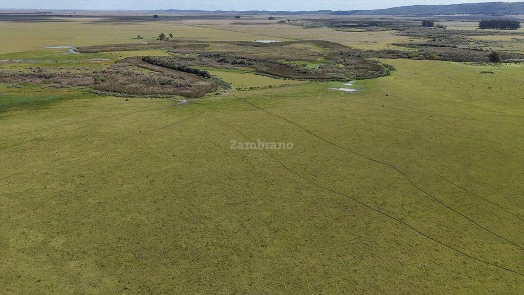 Estancia Arrocera I Rocha I Ha: 1650 IC:56.