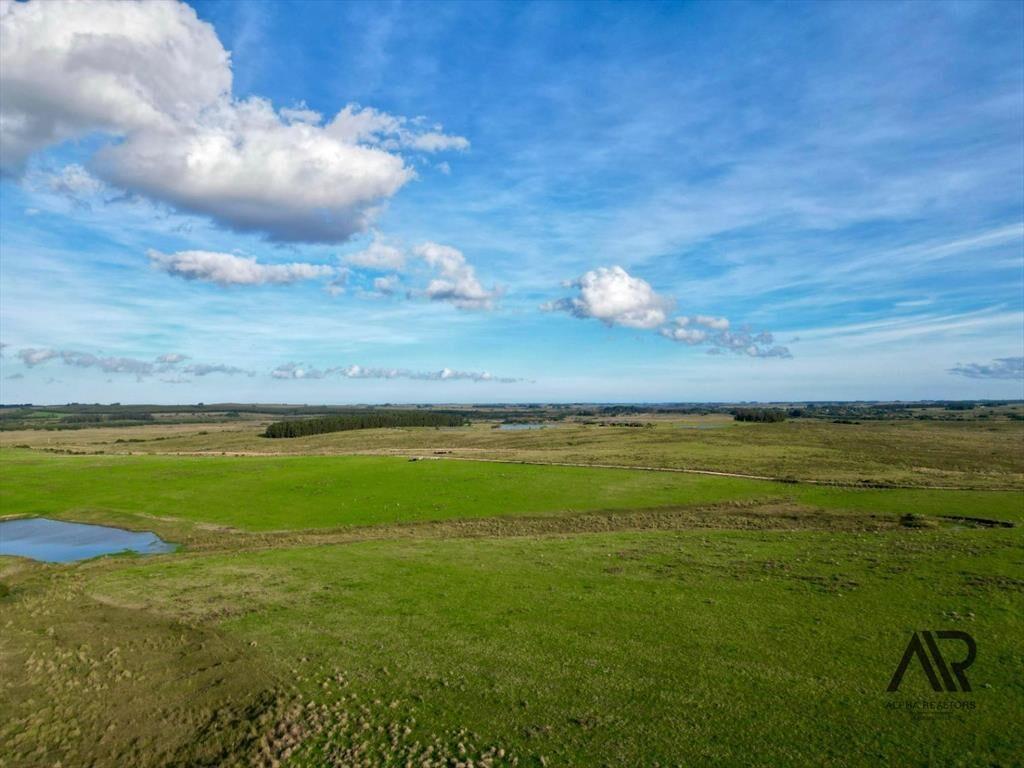 Chacras de 3ha/60 ha en Garzón, con caminería y luz en l...