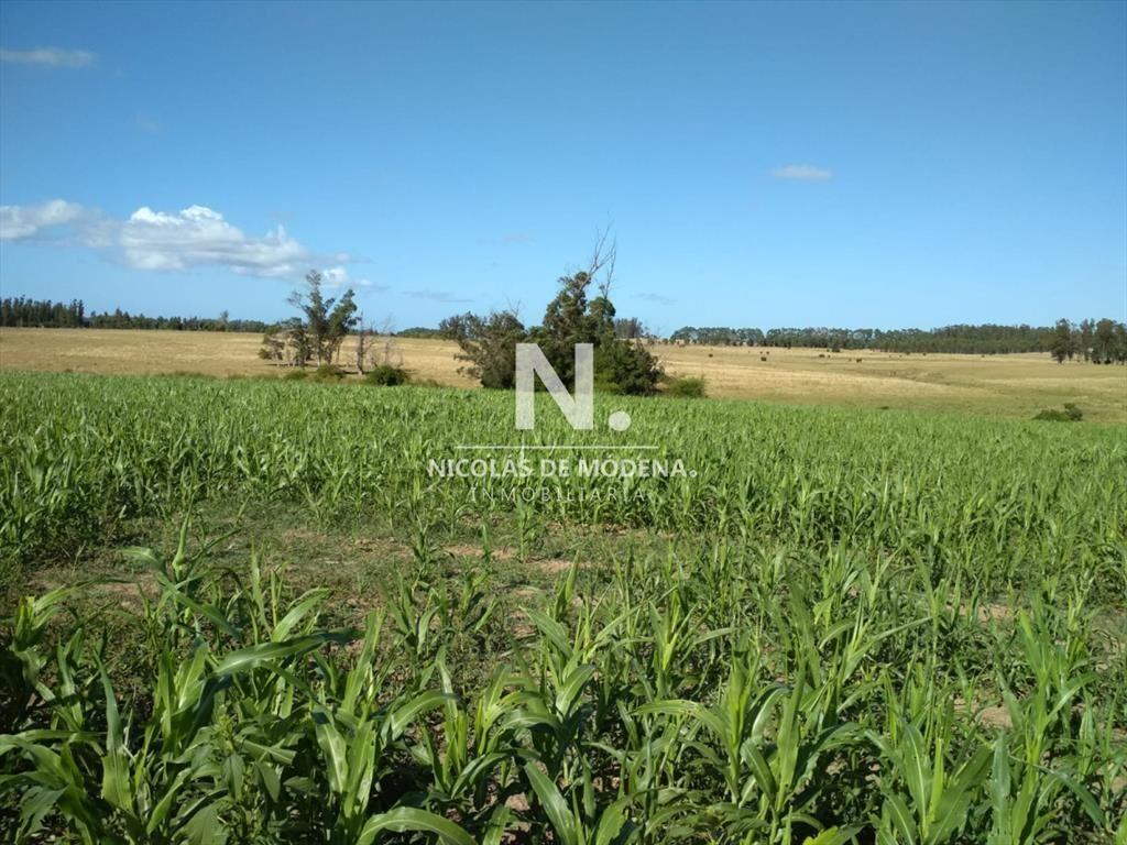 Ruta 104 zona ideal para vivir todo el año