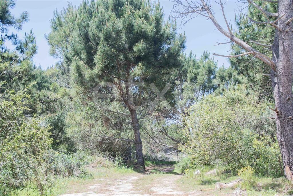 Terreno en Venta San Anotnio Rocha...