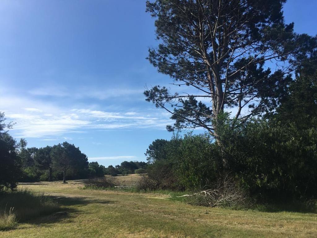 LOTE EN VENTA LA PEDRERA ROCHA