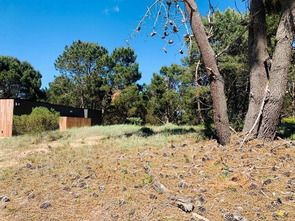 Venta lote en Laguna Escondida José Ignacio