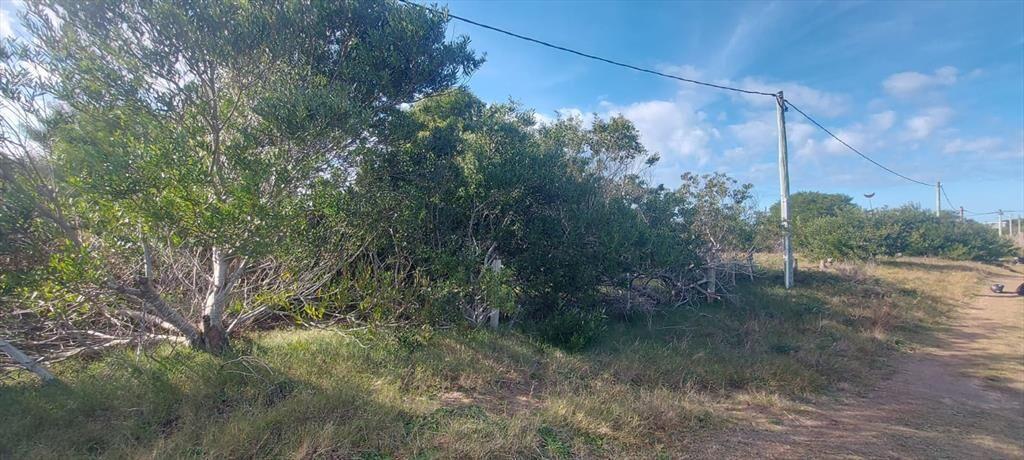 Oportunidad: dos padrones contiguos en Punta Rubia