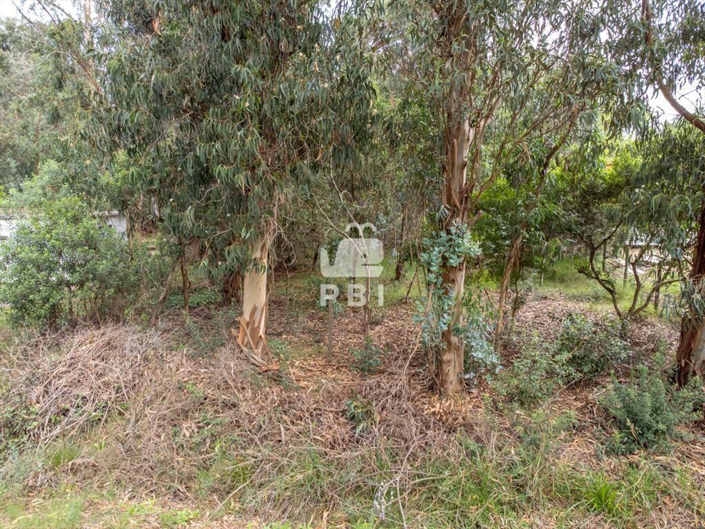 Lote en Punta Negra, Piriápolis - Ref : PBI2699