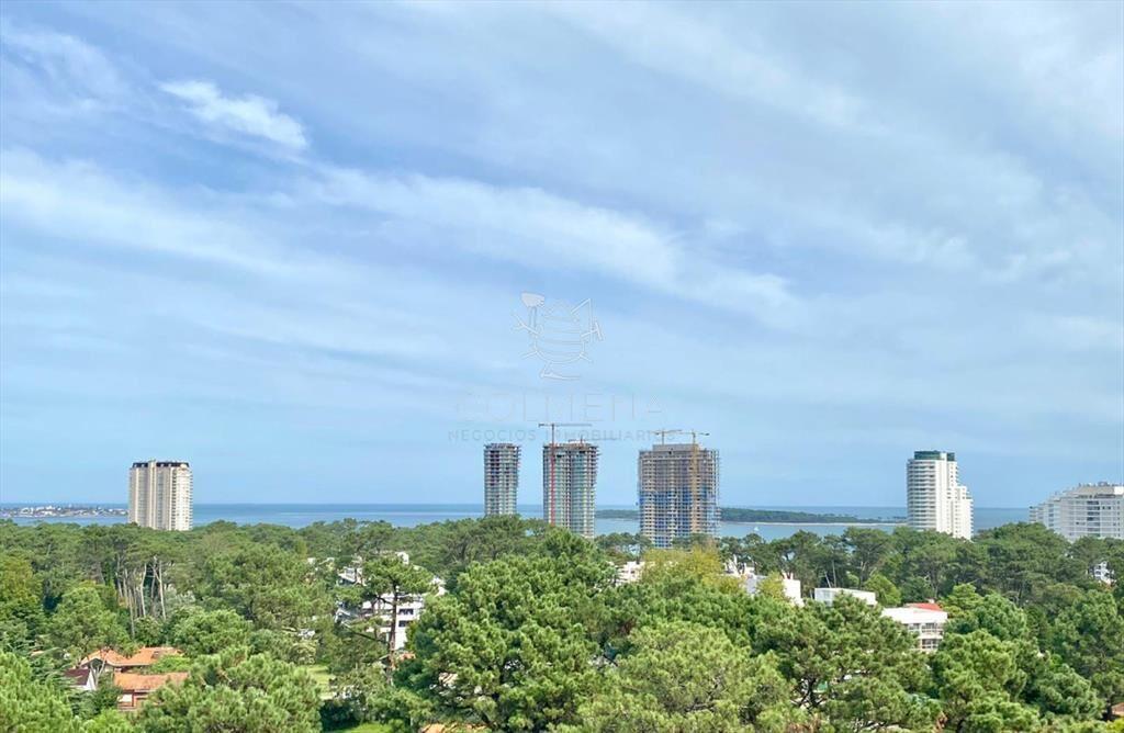 Apto de 3 dormitorios en Roosevelt con vista.
