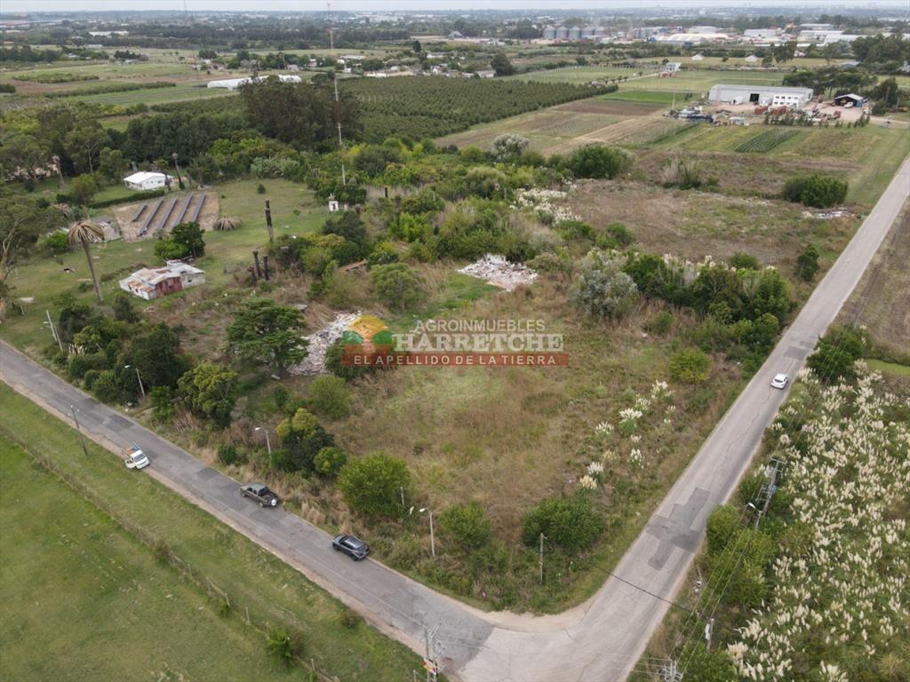 Terreno en Paso de la Arena, 15.789 m2, excelente