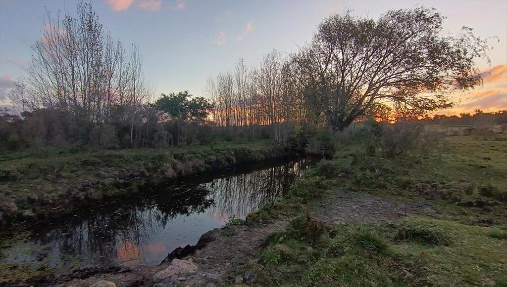 Venta - Campo de 5,6 hectáreas - A 8 km de Atlantida