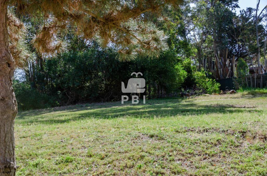 Venta de Terreno en Piedras del Chileno, Punta -