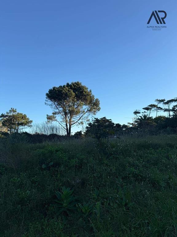 Terreno en venta de 2138m2 ubicado en Rincón del Indio