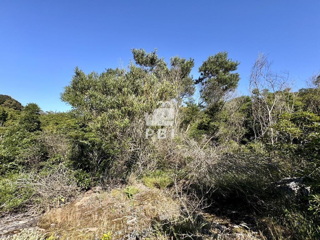 Venta terreno Las Cumbres Punta Ballena Punta del Este - Re