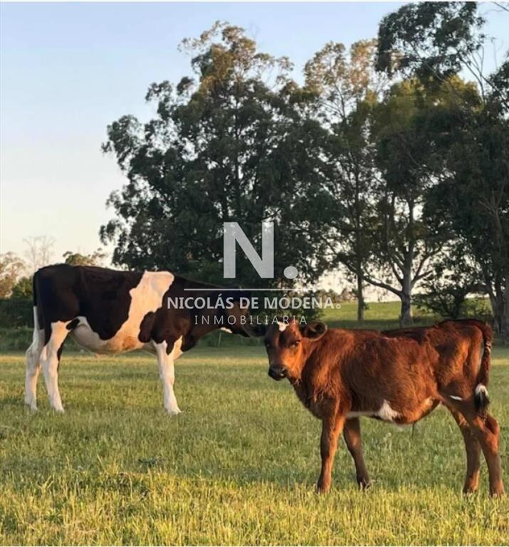 Chacra en venta en canelones. Oportunidad para