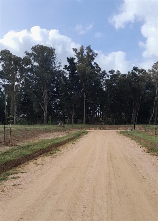 Terreno en Punta Ballena