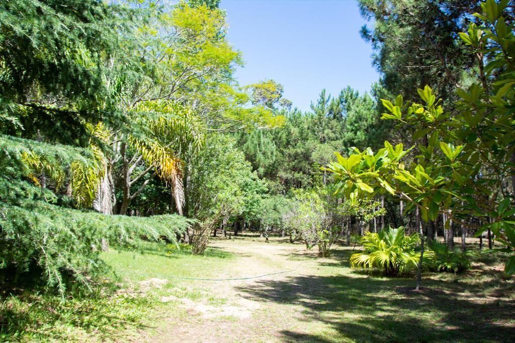 Venta Chacra Marítima Rocha 32ha Ruta 10 Lado Sur cerca del