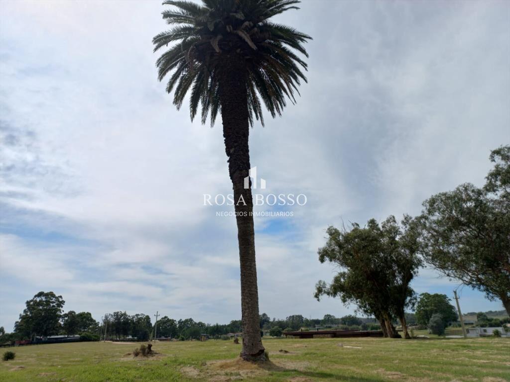 Venta de lote en el Quijote