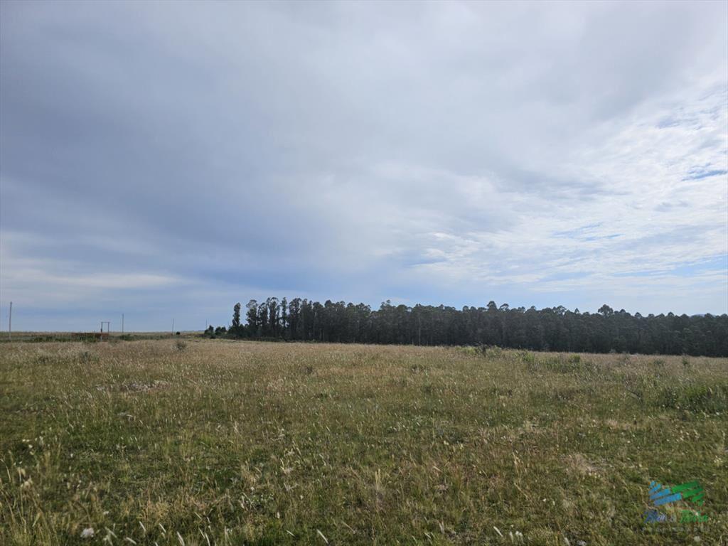 En venta chacra 3 hectareas, proxima ruta 39, a