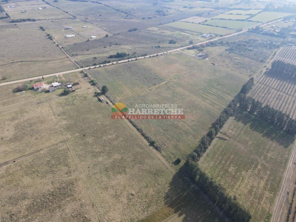 Chacra de 3 has en Los Cerrillos, a pasitos del