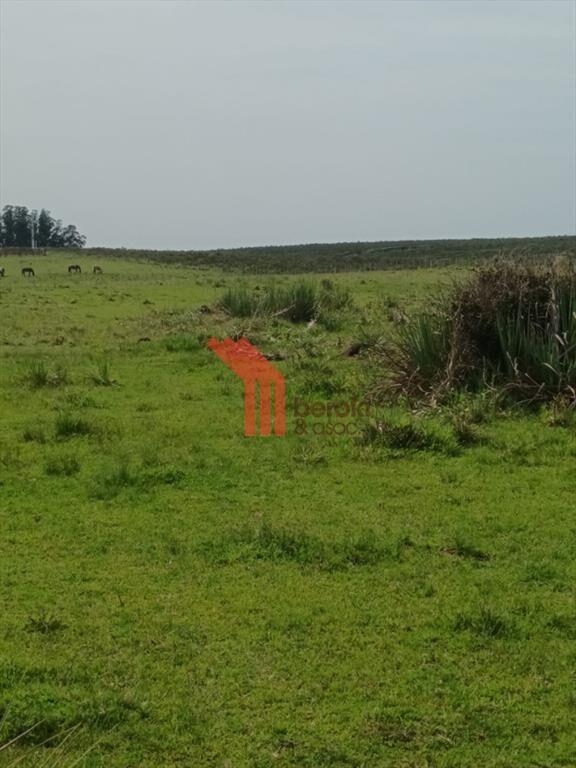 venta campo de 10hs Maldonado, Rincon de Los