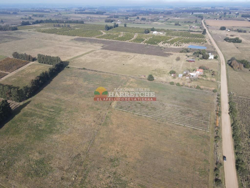 Chacra de 3 has en Los Cerrillos, a pasitos del