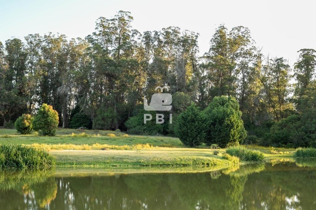 Barrio del Golf Punta Del este - Ref : PBI13213