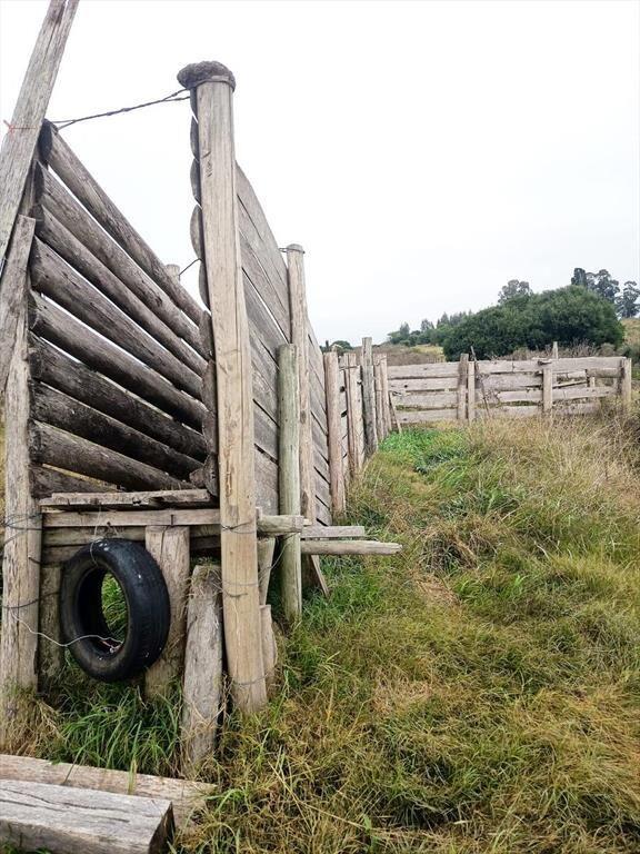 Campo 29,5 Hás. A17 Km de San José de Mayo