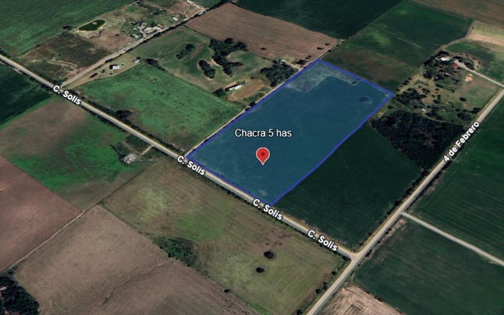 Chacra de 5has en Venta en San Pedro - Colonia