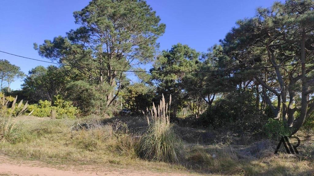 Terreno en venta de 592m2 ubicado en Punta del Diablo