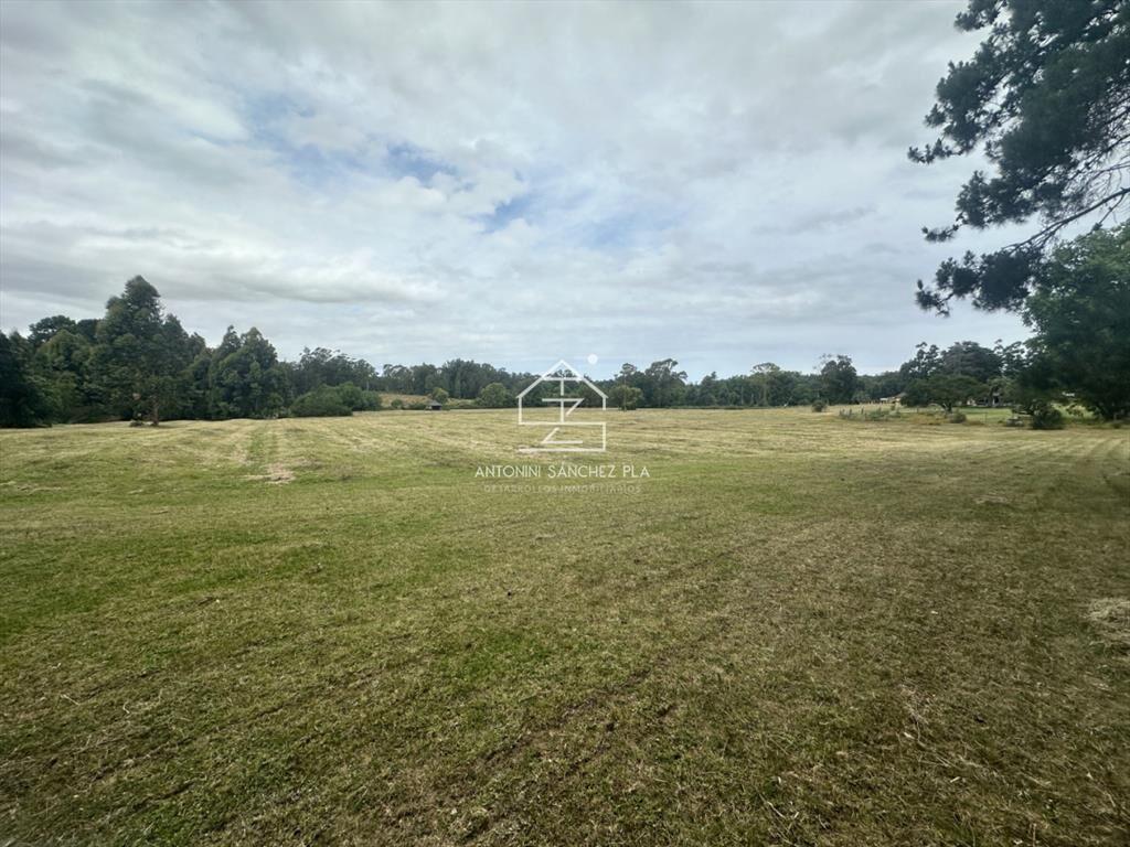 Venta chacra en punta Ballena