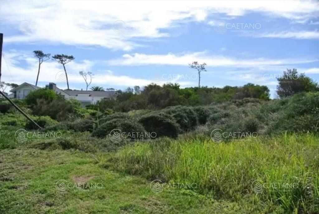 Venta terreno primera línea playa manas Punta