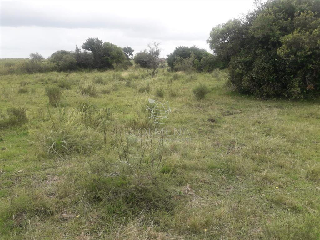 Campo de 5 has con 5891 m2