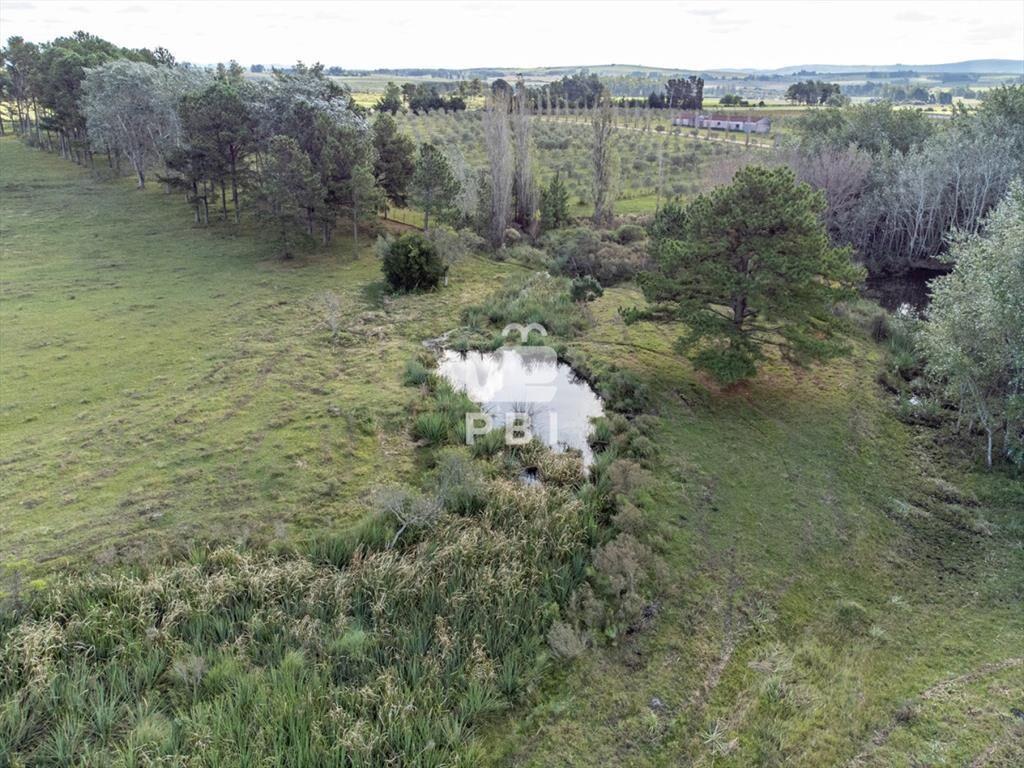 Chacra en venta en Laguna del Sauce, Punta - Ref