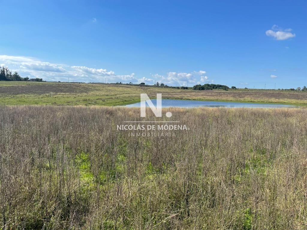 Campo en venta en hermosa zona
