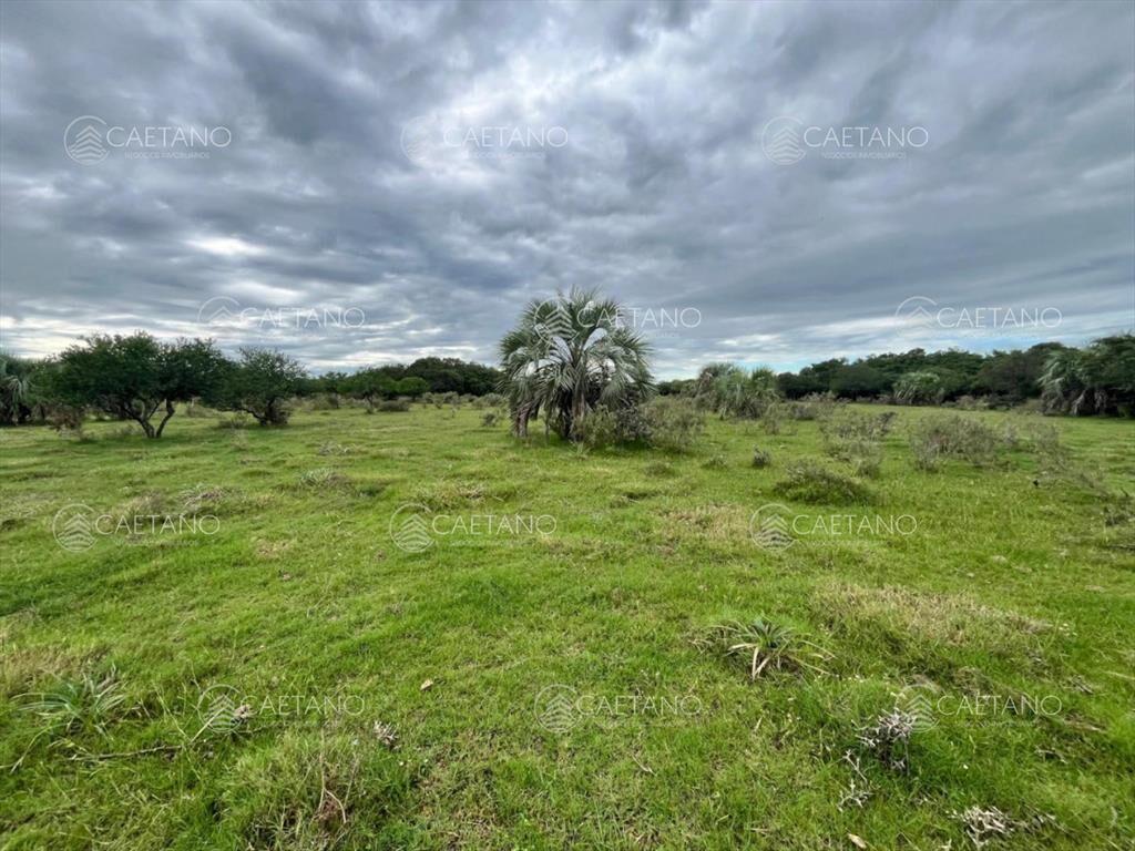 Venta de chacras de 3 has en camino de Los