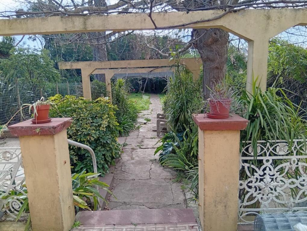 Casa en el Centro de San Carlos
