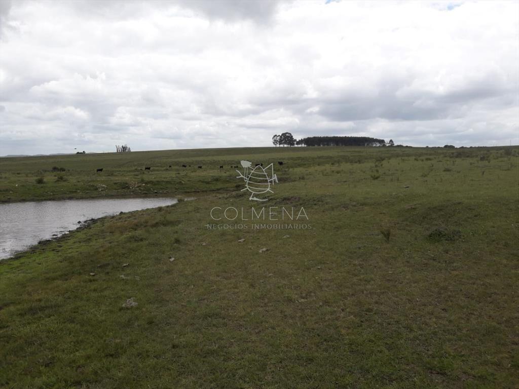 Campo 42 has - consulte !!!!!!