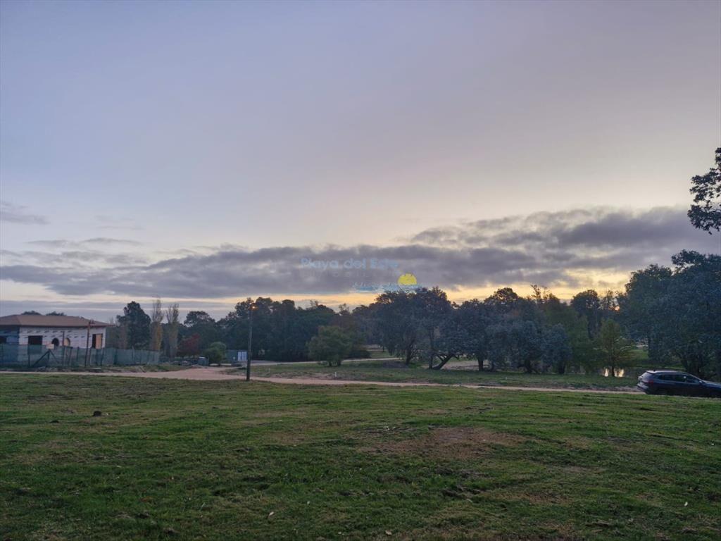 TERRENO EN DON MIGUEL