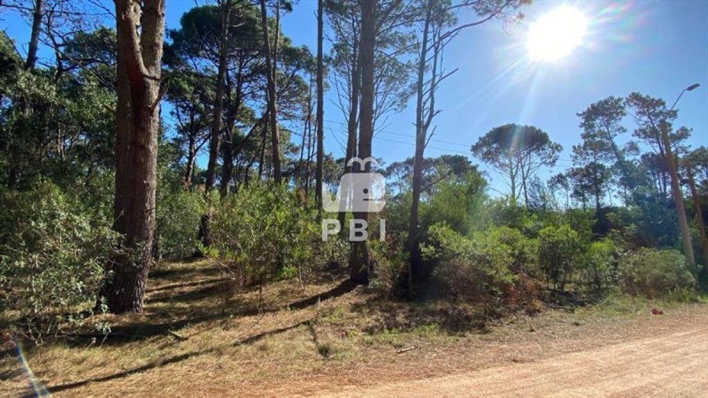 Terreno en venta Club Del Lago  - Ref : PBI1387