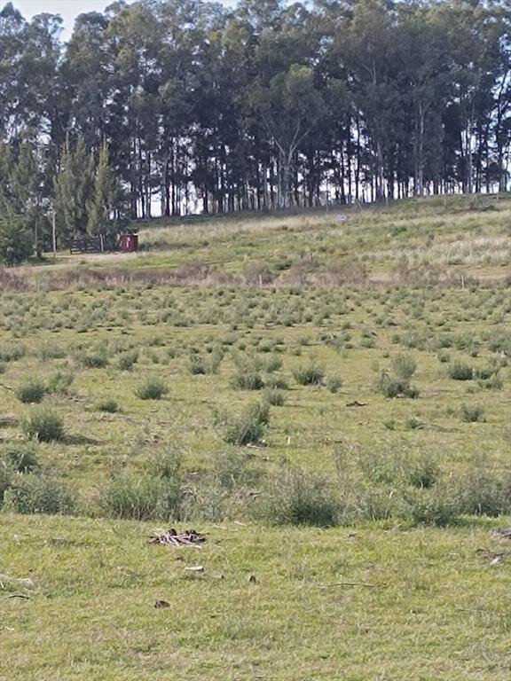 Terreno en Colonia del Sacramento
