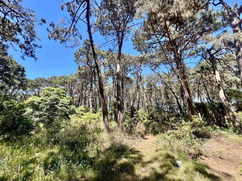 VENTA TERRENO DESARROLLO RINCON DEL INDIO