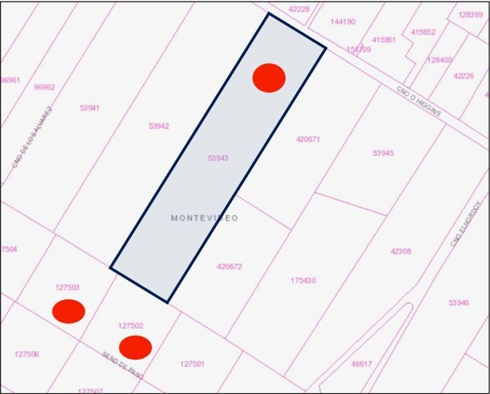 VENTA DE CHACRA DE 11 HECTÁREAS ZONA PAJAS BLANCAS