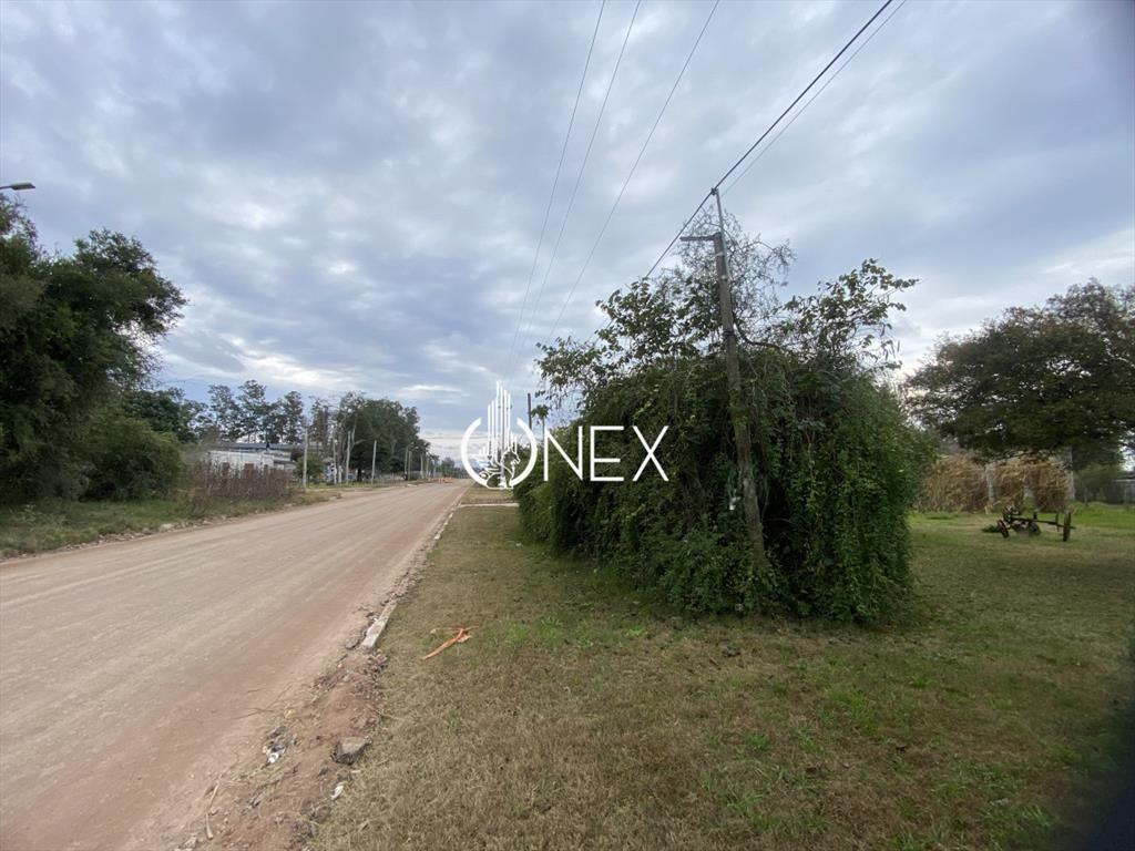 2 TERRENOS EN VENTA NUEVO PAYSANDU