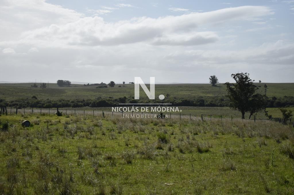 Campo Ruta 9  SAN CARLOS
